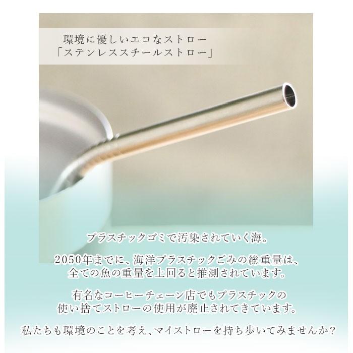 ストロー ステンレス製 3本セット 通販 スチール ストロー 洗える 繰り返し 使える 環境問題 プレゼント ギフト カトラリー マドラー おしゃれ ストロー |  | 04