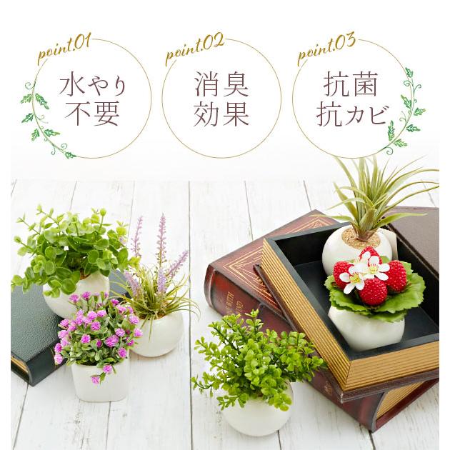 光触媒観葉植物 おしゃれ 通販 観葉植物 光触媒 フェイク 小さい