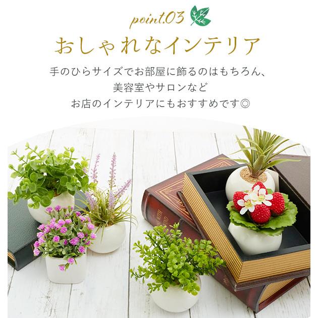 光触媒 人工観葉植物 ウォールグリーン フェイクグリーン ポリシャス