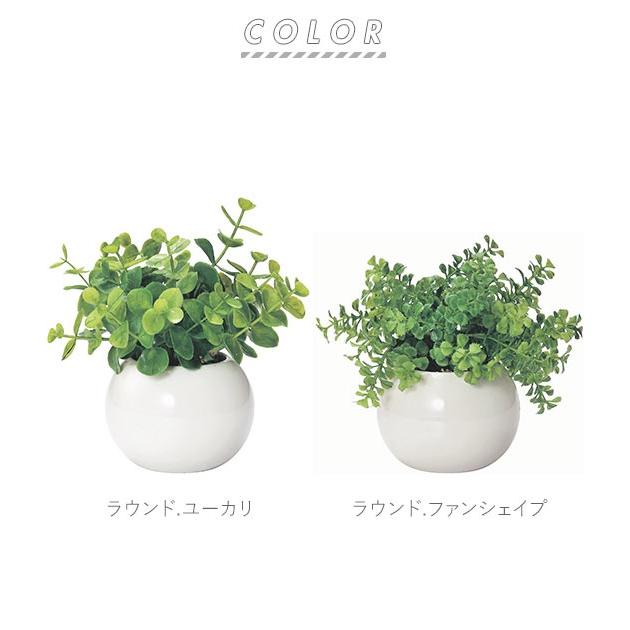 光触媒観葉植物 おしゃれ 通販 送料無料 当日発送可能 観葉植物 光触媒 フェイク 小さい 枯れない リアル 小さめ コンパクト フェイクグリーン 造花 ミニ インテリアグリーン