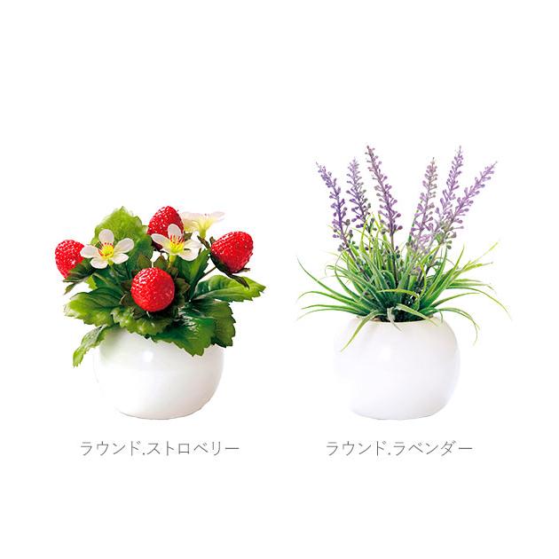 光触媒観葉植物 おしゃれ 通販 観葉植物 光触媒 フェイク 小さい 枯れ