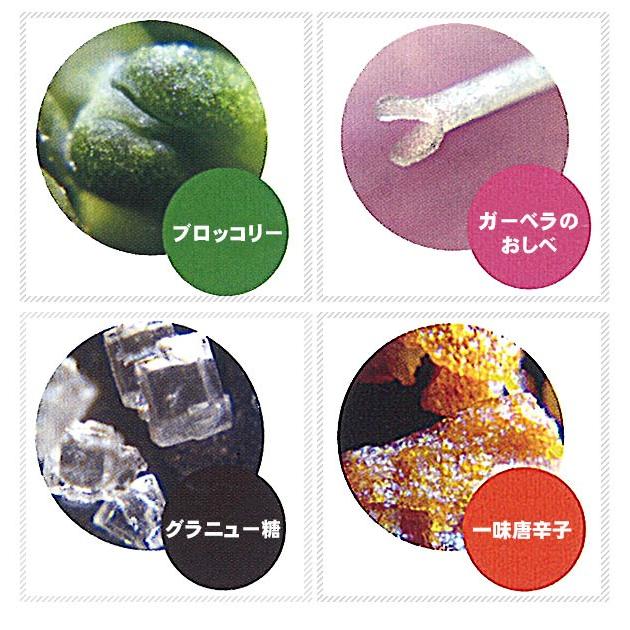 ハンディ顕微鏡 レイメイ ZOOM 携帯用 コンパクト 小学生 持ち歩きできる 野外観察 LEDライト付 けんびきょう ミクロ ズーム コンパクト ハンディ顕微鏡 | レイメイ藤井 | 05