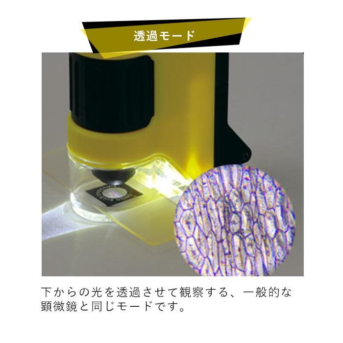 顕微鏡 スマホで撮影 通販 自由研究 子供 スマホ 写真 ハンディ顕微鏡dx スマホアダプター 小学生 ハンディ 100倍 150倍 200倍 250倍 100〜250倍 顕微鏡 | レイメイ藤井 | 02