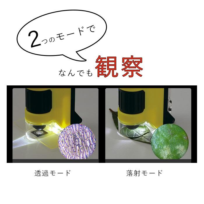 顕微鏡 スマホで撮影 通販 自由研究 子供 スマホ 写真 ハンディ顕微鏡dx スマホアダプター 小学生 ハンディ 100倍 150倍 200倍 250倍 100〜250倍 顕微鏡 | レイメイ藤井 | 04