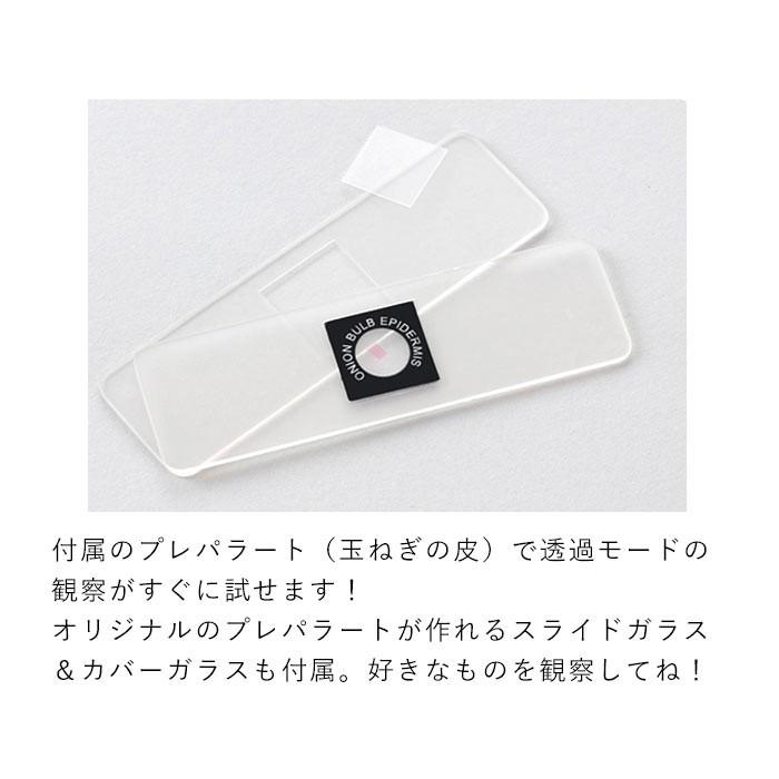 顕微鏡 スマホで撮影 通販 自由研究 子供 スマホ 写真 ハンディ顕微鏡dx スマホアダプター 小学生 ハンディ 100倍 150倍 200倍 250倍 100〜250倍 顕微鏡 | レイメイ藤井 | 08