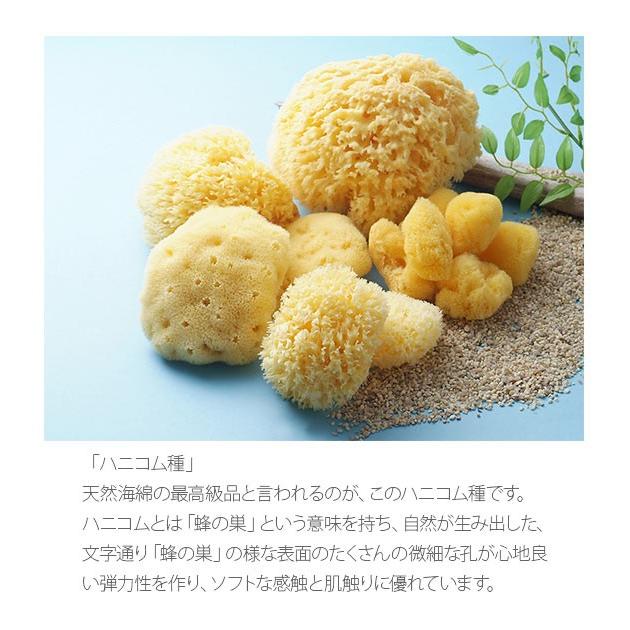 ボディスポンジ 背中 ベリーニ 天然海綿スポンジ 天然海綿 ハニコム種 SA16 Lサイズ 約14〜16cm お風呂 洗顔 海綿スポンジ 天然スポンジ ベビー ボディスポンジ | ブランド登録なし | 03