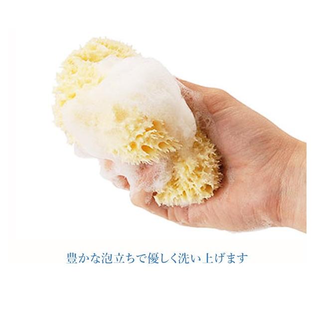 ボディスポンジ 背中 ベリーニ 天然海綿スポンジ 天然海綿 ハニコム種 SA16 Lサイズ 約14〜16cm お風呂 洗顔 海綿スポンジ 天然スポンジ ベビー ボディスポンジ | ブランド登録なし | 04