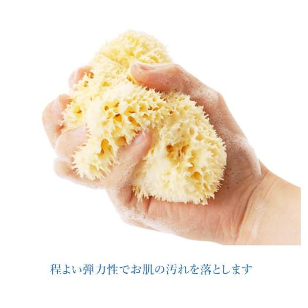 ボディスポンジ 背中 ベリーニ 天然海綿スポンジ 天然海綿 ハニコム種 SA16 Lサイズ 約14〜16cm お風呂 洗顔 海綿スポンジ 天然スポンジ ベビー ボディスポンジ | ブランド登録なし | 05