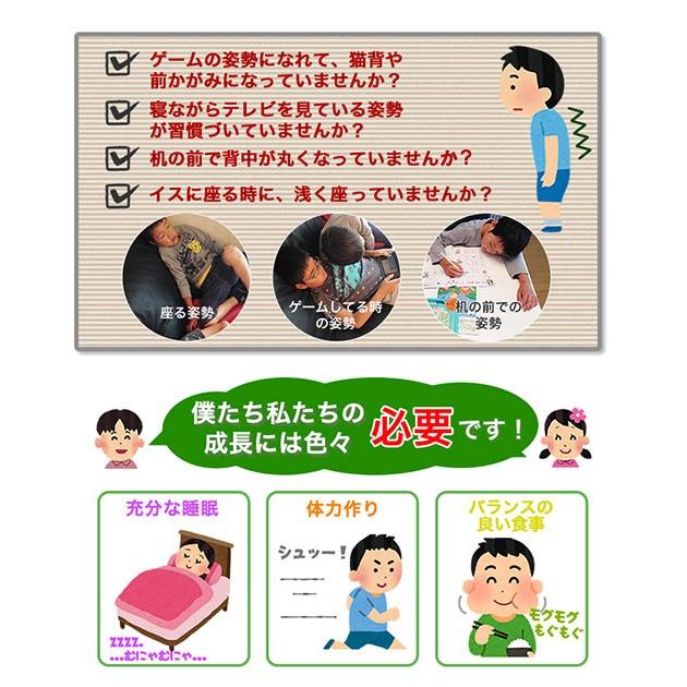 せのび〜るキッズ 9-13歳（2個） せのび〜るキッズ 9-13歳（2個）