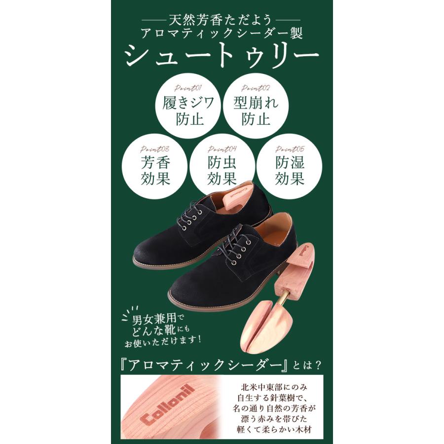 コロニル シューキーパー 好評 シュートゥリー シューツリー シューズキーパー collonil 靴用 Lサイズ アロマテックシーダー Mサイズ 消臭 靴 型崩れ コロニル | COLLONIL | 06