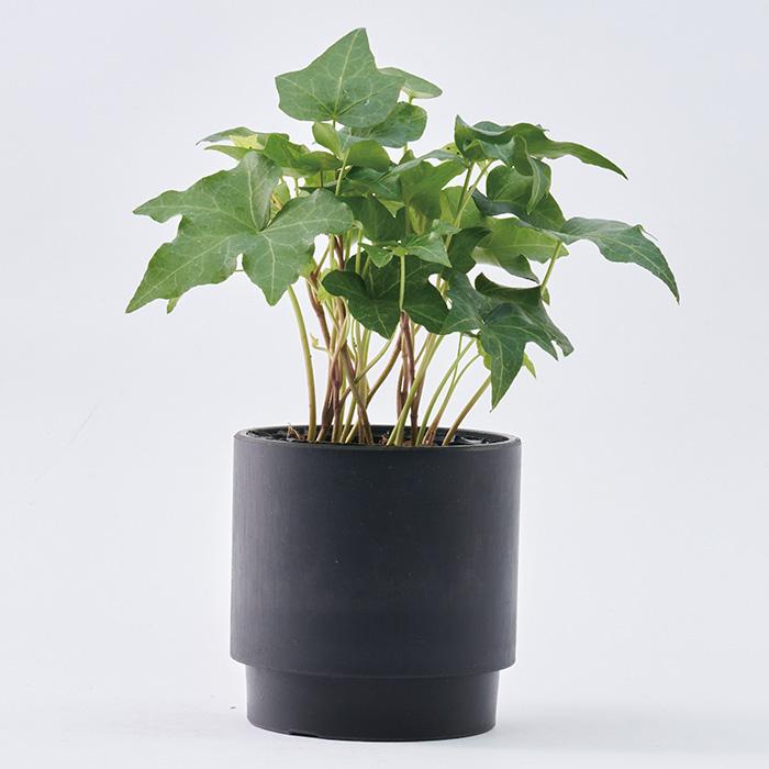 植木鉢 プラスチック 丸型 通販 SK ステップ 12xH12 鉢 約 3.5号 鉢カバー プランター プラポット プランターカバー 植木 ポット 鉢植え おしゃれ 軽量 植木鉢 | BACKYARD FAMILY | 22