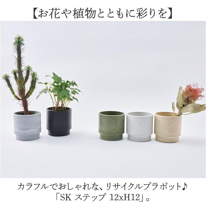 植木鉢 プラスチック 丸型 通販 SK ステップ 12xH12 鉢 約 3.5号 鉢カバー プランター プラポット プランターカバー 植木 ポット 鉢植え おしゃれ 軽量 植木鉢 | BACKYARD FAMILY | 12