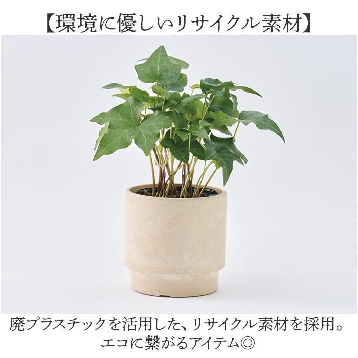 植木鉢 プラスチック 丸型 通販 SK ステップ 12xH12 鉢 約 3.5号 鉢カバー プランター プラポット プランターカバー 植木 ポット 鉢植え おしゃれ 軽量 植木鉢 | BACKYARD FAMILY | 13