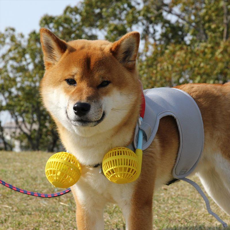 ドッグウェア 夏 m 通販 ネックファン 扇風機 首掛け扇風機 犬用 犬 ドッグファン 小型犬 中型犬 ドッグウェア 扇風機セット シンプル ファン ドッグウェア |  | 10