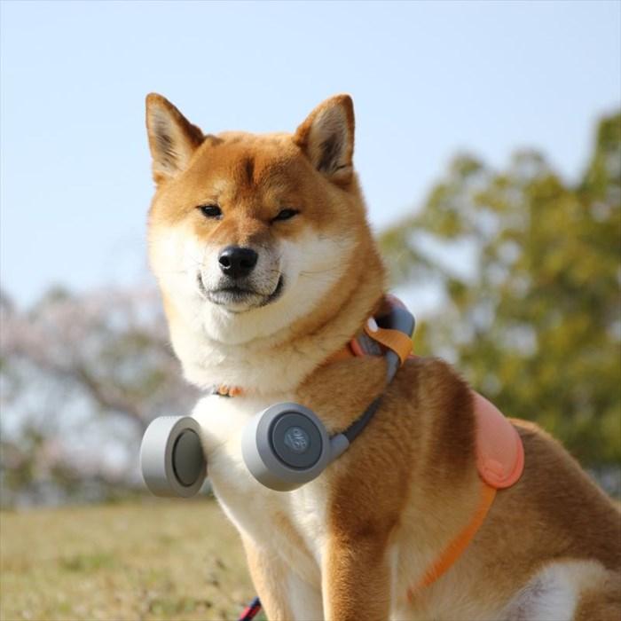 ドッグウェア 通販ドッグウェア 夏 m ネックファン 扇風機 首掛け扇風機 犬用 犬 ドッグファン 小型犬 中型犬 ドッグウェア 扇風機セット シンプル ドッグウェア |  | 09