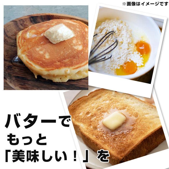 バターカッター 通販バターカッター 5g ケース バターケース カット バターカッティングケース すぐ切れるバターカットケース おしゃれ バターカッター | BACKYARD FAMILY | 09