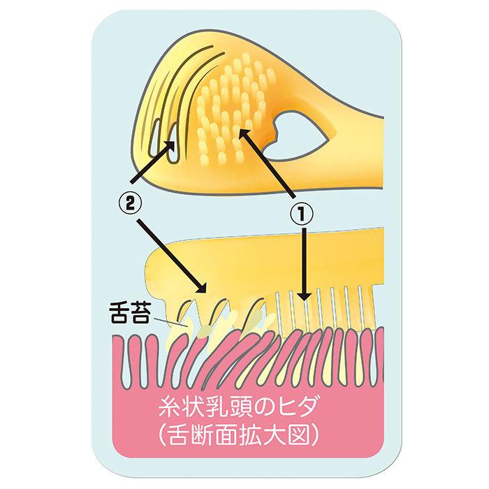 舌 掃除 通販 ののじ公式 ののじ 公式 舌磨き 専用ケース付き 舌クリーナー 舌みがき 舌ブラシ 子供 こども 子ども Kids キッズ 口臭 口臭対策 口腔ケア 舌 |  | 07