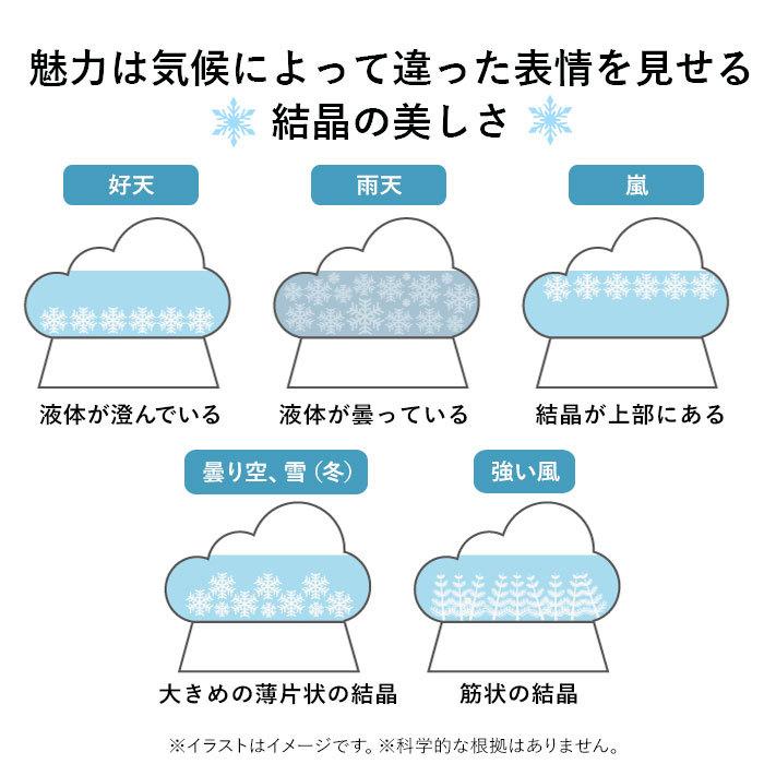 ストームグラス クラウド 通販 ガラス 雑貨 気象計 天気 おしゃれ サイエンス 科学 結晶 ディスプレイ小物 Fun Science 333 274 オブジェ 置き物 Stormglasscloud Backyard Family ママタウン 通販 Yahoo ショッピング