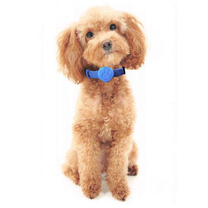 夜 犬 散歩 ライト 通販 お散歩ライト led 電池式 光る セーフティ 事故 防止 首輪 バッグ 自転車 ランニング いぬ イヌ ペットグッズ 点灯 点滅 交通安全 夜 |  | 03