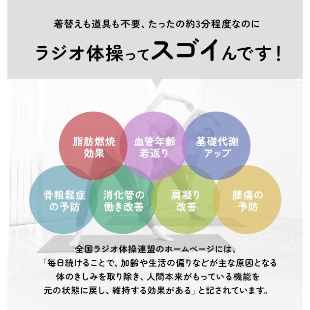 ラジオ体操 ブタ 好評 第一 第二 ブーブー 体操ブーブー 第1 第2 ラジオ体操第一 タイソーブーブー 祖母 祖父 敬老の日 ギフト 男性 女性 母 父 孫 ラジオ体操 |  | 07