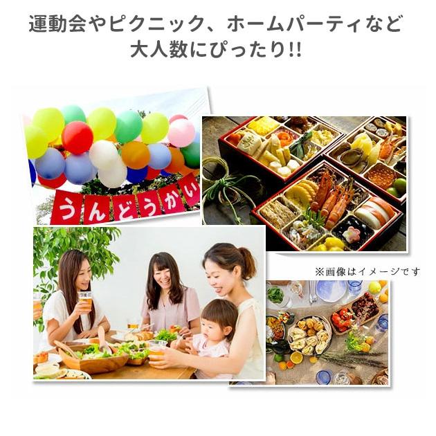 弁当箱 3段 大 通販 重箱 お重 3段 三段 スクエア型 角型 ランチボックス ランチBOX ピクニックケース 行楽弁当 コンパクト 大きい 大きめ 弁当箱 |  | 04