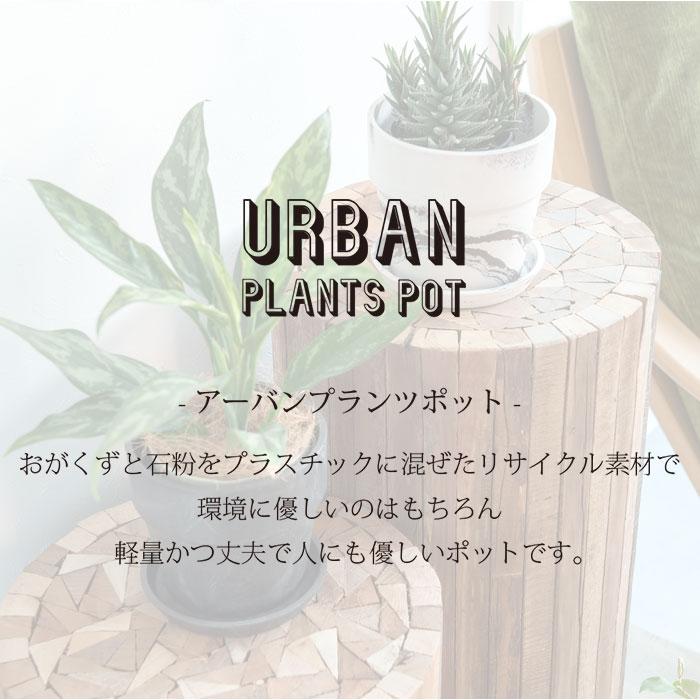 POSH LIVING（ポッシュリビング） 植木鉢 おしゃれ プラスチック 6号