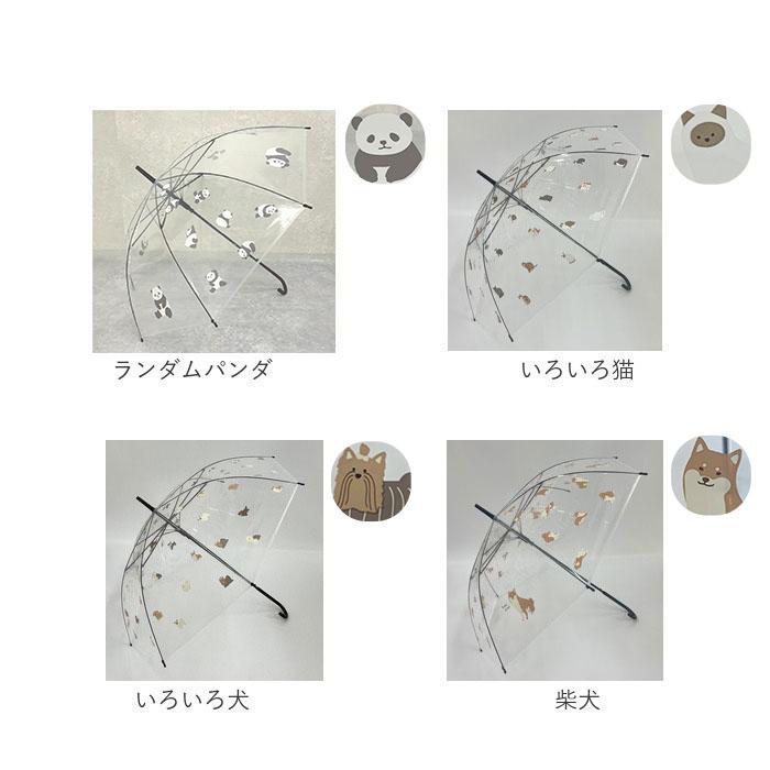 ビニール傘 レディース 通販 透明 傘 おしゃれ 長傘 耐風 雨傘 カサ かさ ビニール傘おしゃれ 58cm グラスファイバー骨 丈夫 ジャンプ ワンタッチ ビニール傘 |  | 25