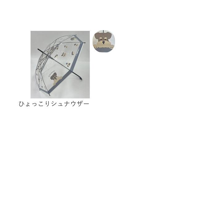 ビニール傘 レディース 通販 透明 傘 おしゃれ 長傘 耐風 雨傘 カサ かさ ビニール傘おしゃれ 58cm グラスファイバー骨 丈夫 ジャンプ ワンタッチ ビニール傘 |  | 26