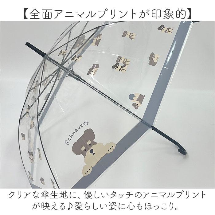 ビニール傘 レディース 通販 透明 傘 おしゃれ 長傘 耐風 雨傘 カサ かさ ビニール傘おしゃれ 58cm グラスファイバー骨 丈夫 ジャンプ ワンタッチ ビニール傘 |  | 13