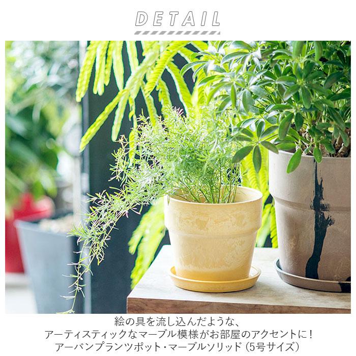 POSH LIVING（ポッシュリビング） 植木鉢 通販植木鉢 プラスチック