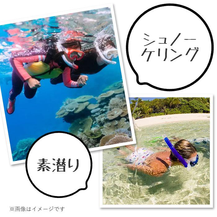 シュノーケル セット 通販 シュノーケルセット スイムセット 大人 シュノーケル セット メンズ レディース 13才 大人 マスク スノーケル シュノーケル | ブランド登録なし | 05