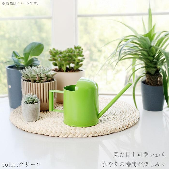 じょうろ 通販じょうろ ミニ 300ml 小さい 小型 水やり 北欧 水差し 室内 屋内 ジョーロ ジョウロ おしゃれ ミニじょうろ 金属 ステンレス 多肉植物  じょうろ | BACKYARD FAMILY | 07
