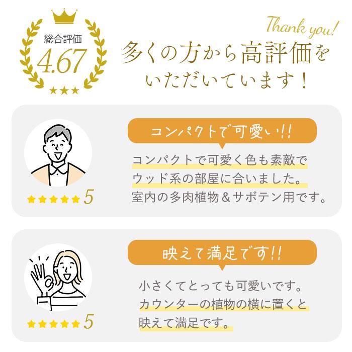 じょうろ 通販じょうろ ミニ 300ml 小さい 小型 水やり 北欧 水差し 室内 屋内 ジョーロ ジョウロ おしゃれ ミニじょうろ 金属 ステンレス 多肉植物  じょうろ | BACKYARD FAMILY | 09
