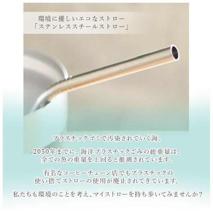 ストロー ステンレス製 通販 4本セット スチール ストロー 洗える 繰り返し 使える 環境問題 プレゼント ギフト カトラリー マドラー おしゃれ ストロー | ブランド登録なし | 03