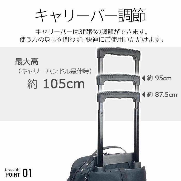 GULLWING（ガルウィング） キャリーバッグ リュックキャリー