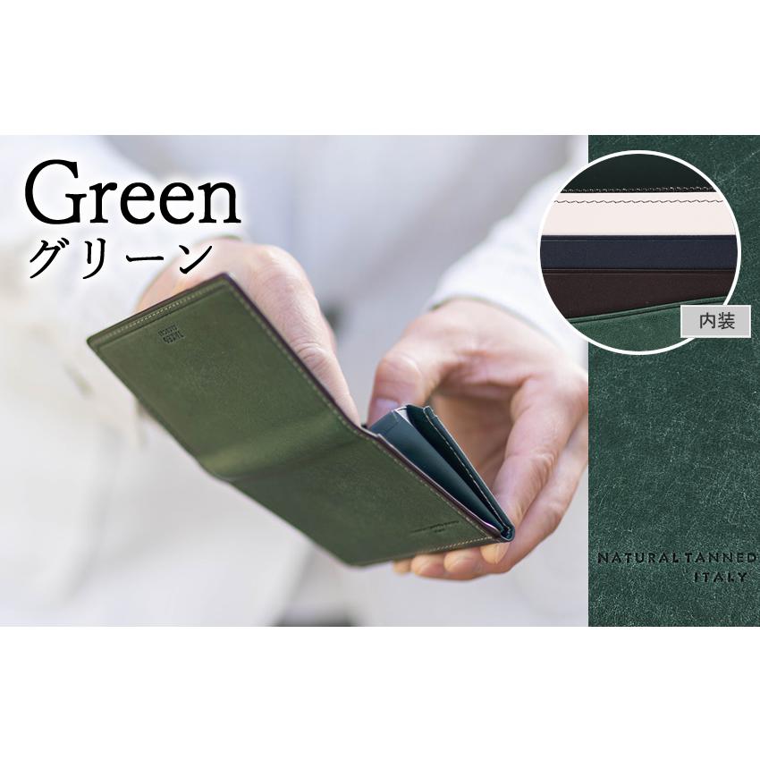 TAKEO KIKUCHI（タケオキクチ） 【ロワール限定モデル】 名刺入れ