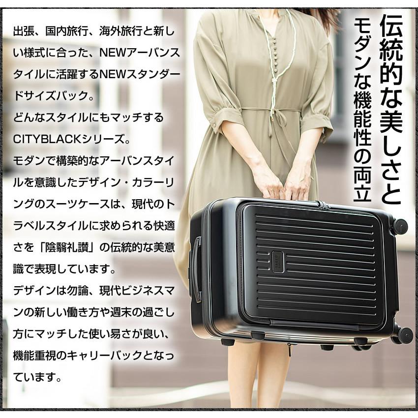 ダークグレー ストライプ キャリーケース ダークグレー ストライプ キャリーケース ダークグレー