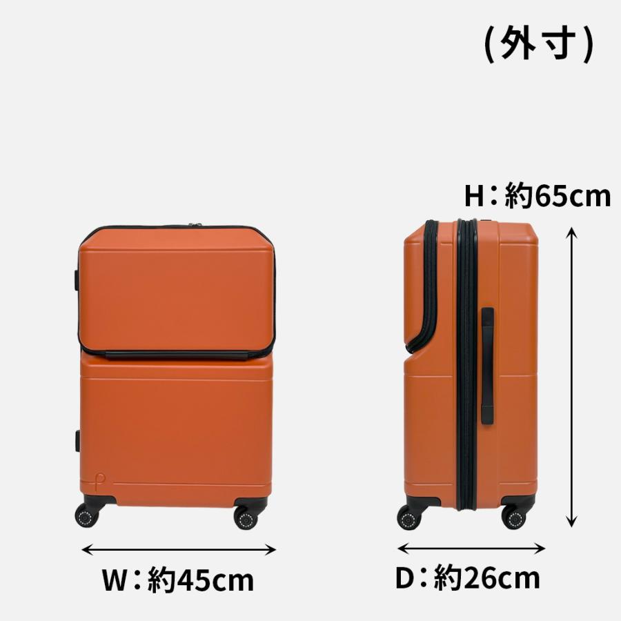 ProtecA 【ノベルティ特典】 エース プロテカ ポケットライナー2