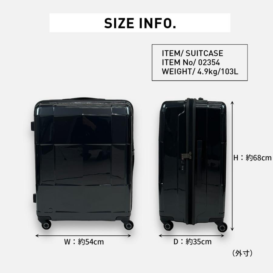 エース プロテカ ACE PROTECA スタリアEX 66L スーツケース ProtecA 【ノベルティ特典】 エース プロテカ スタリア CXR スーツ
