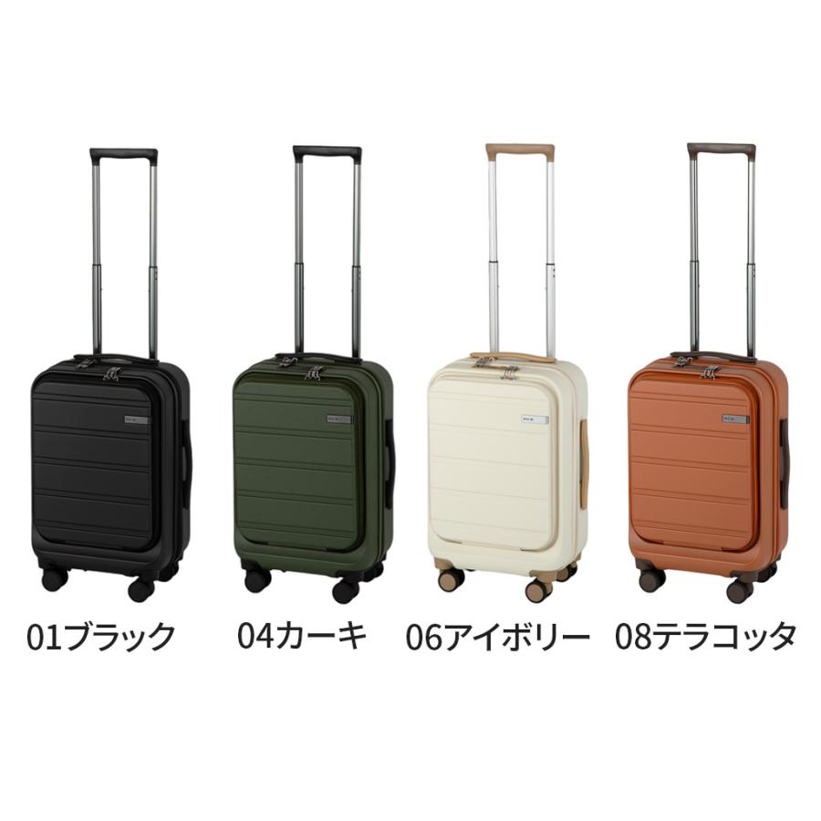 Ace（エース） 【ノベルティ特典】 フレットボード スーツケース