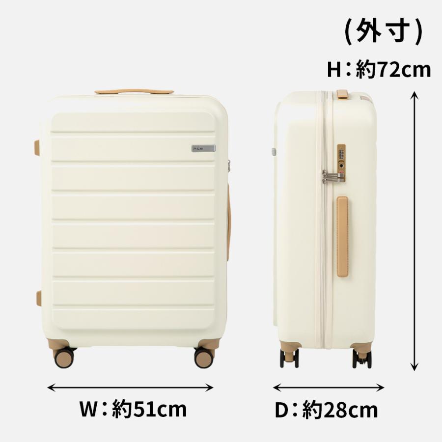 Ace（エース） 【ノベルティ特典】 フレットボード スーツケース