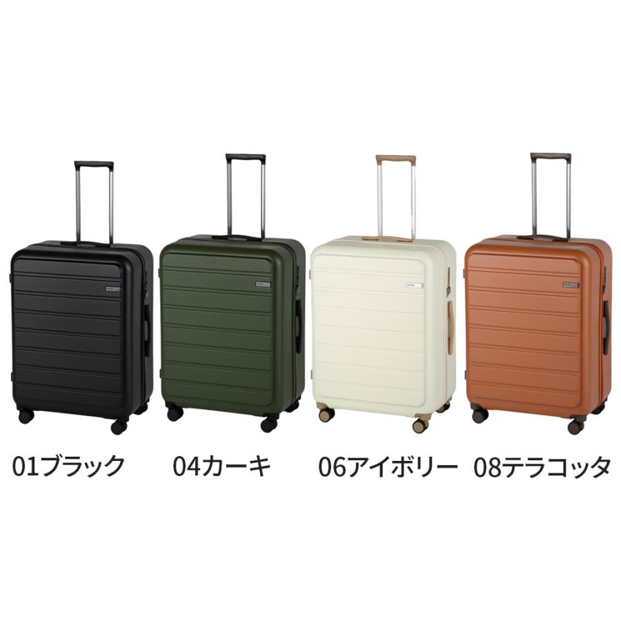 Ace（エース） 【ノベルティ特典】 フレットボード スーツケース