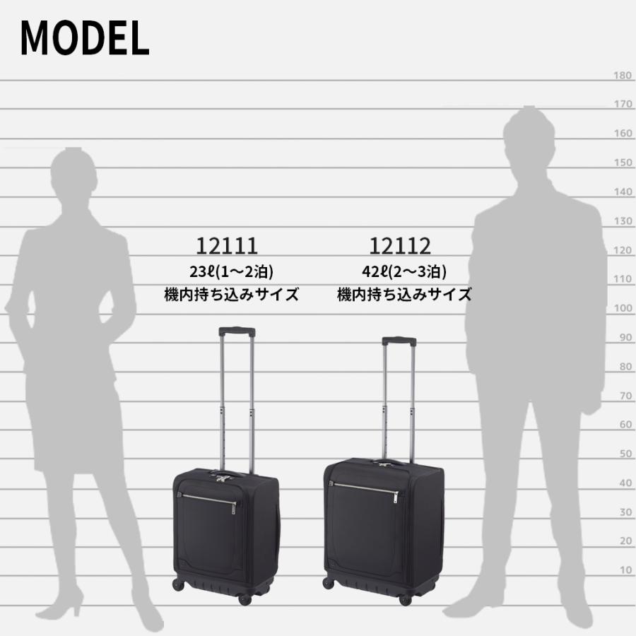 ProtecA 【ノベルティ特典】 エース プロテカ マックスパスソフト4