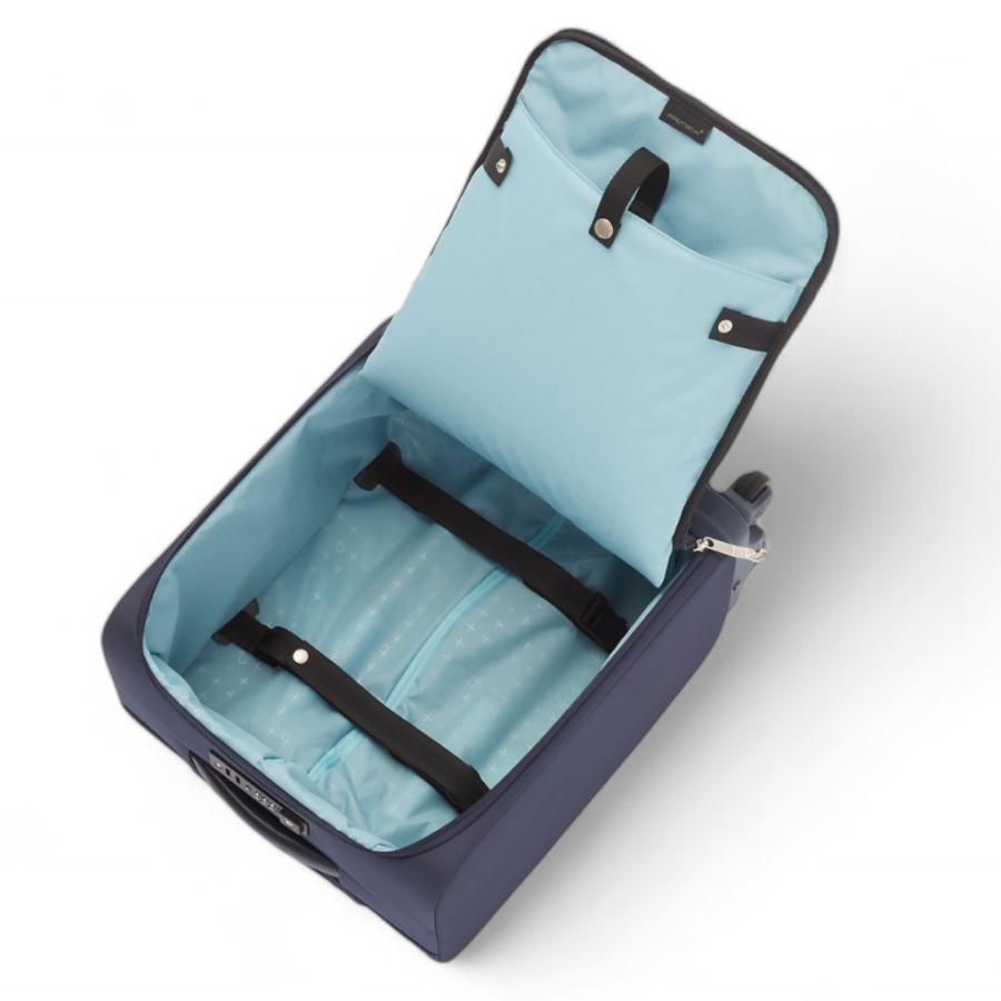 ProtecA 【ノベルティ特典】 エース プロテカ マックスパスソフト4