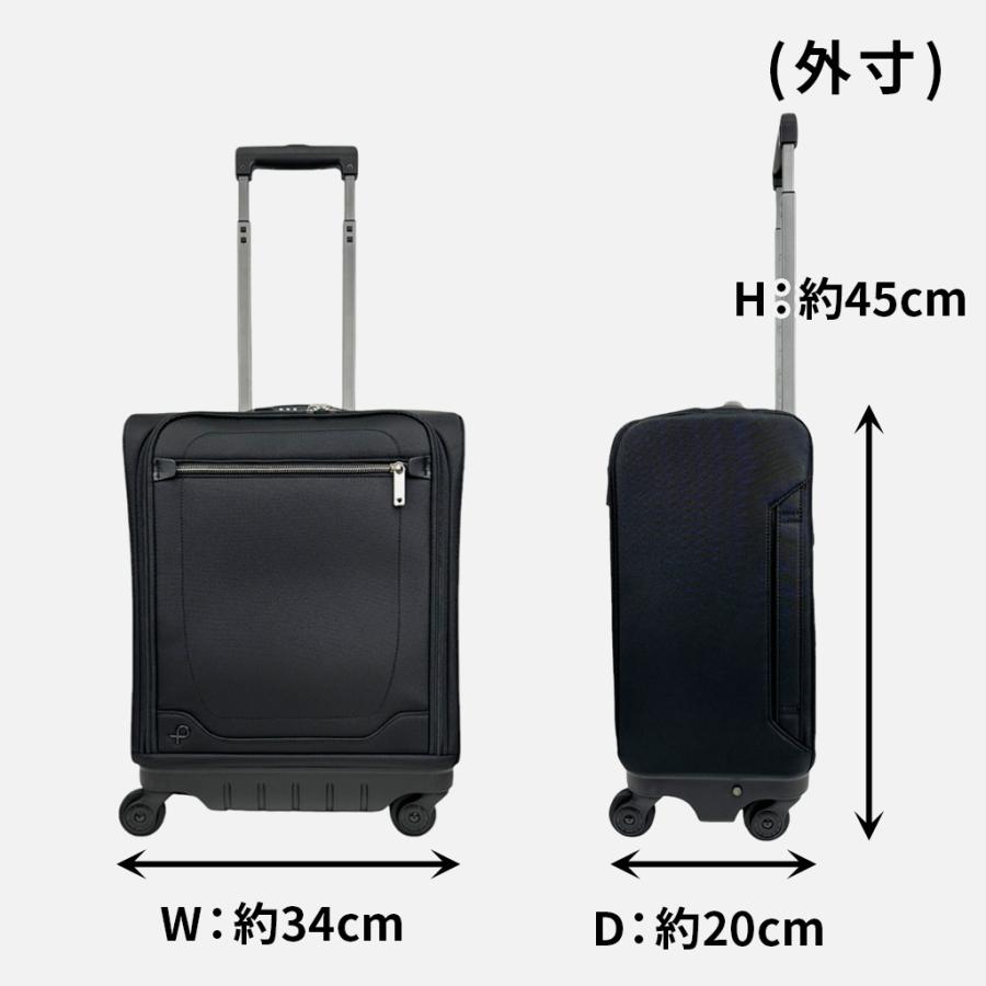 ProtecA 【ノベルティ特典】 エース プロテカ マックスパスソフト4