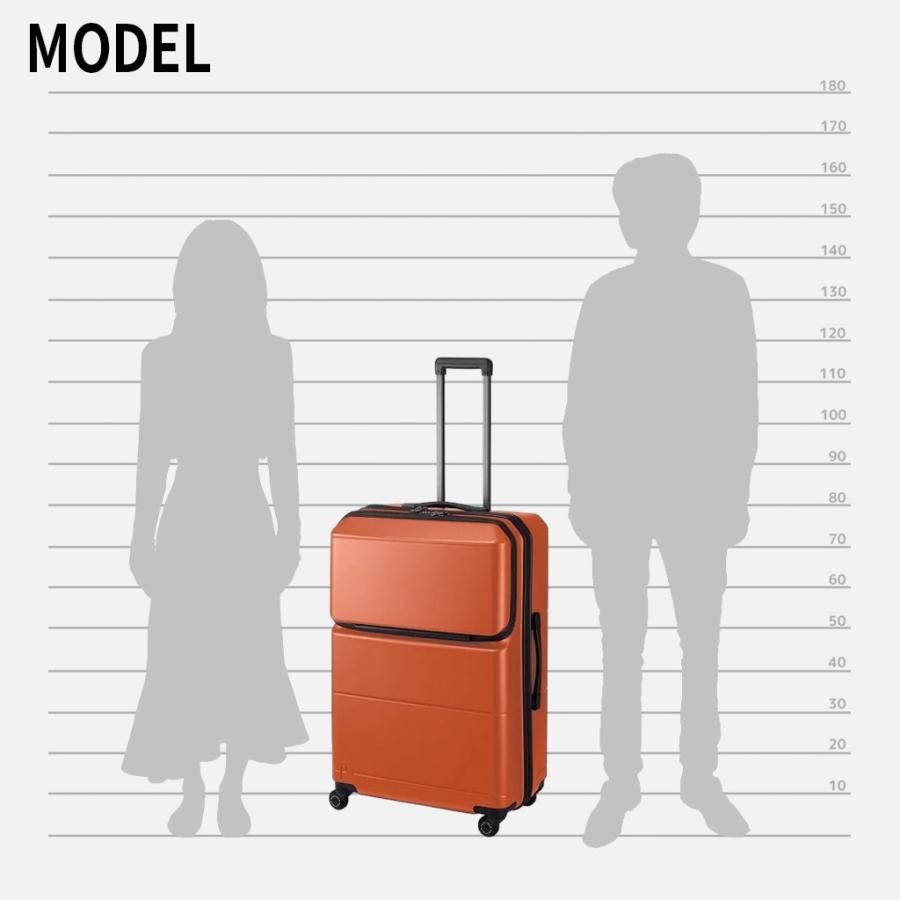 ProtecA 【ノベルティ特典】 エース プロテカ ポケットライナー2