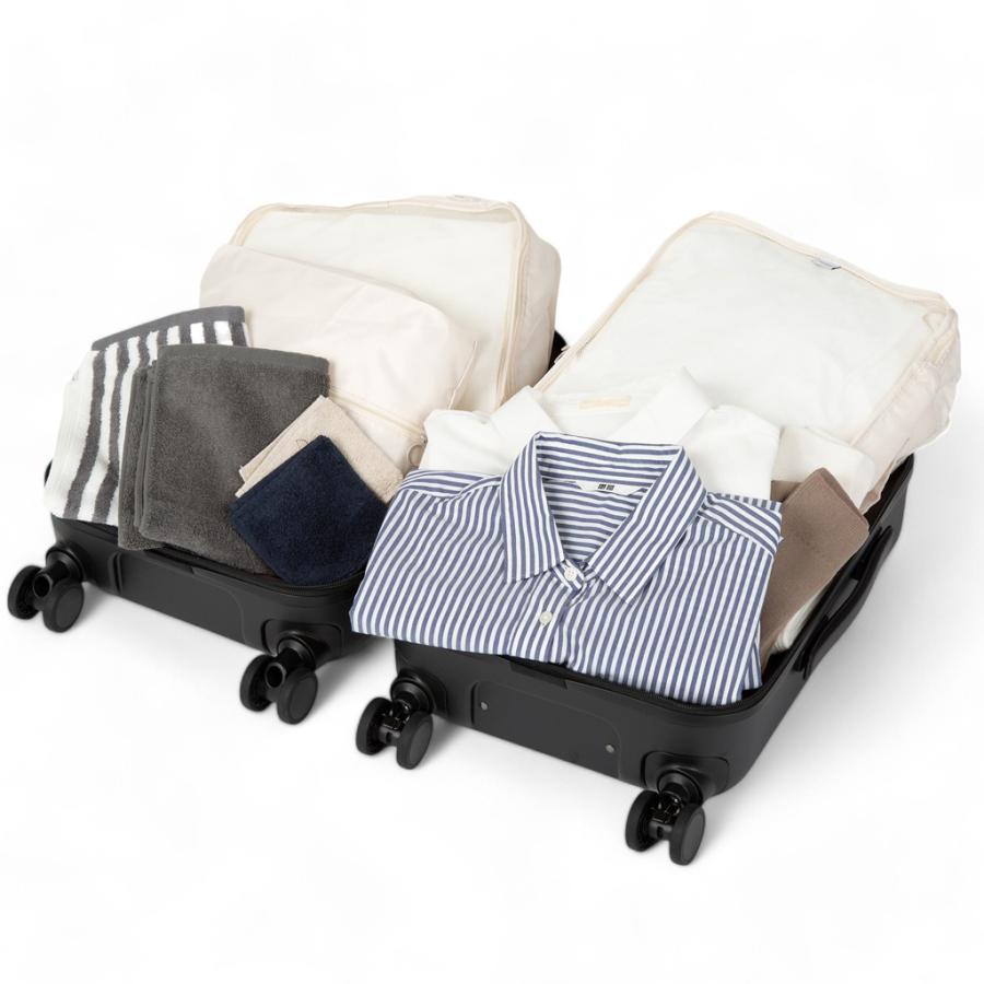 Ace 【ノベルティ特典】 エース フレットボード スーツケース