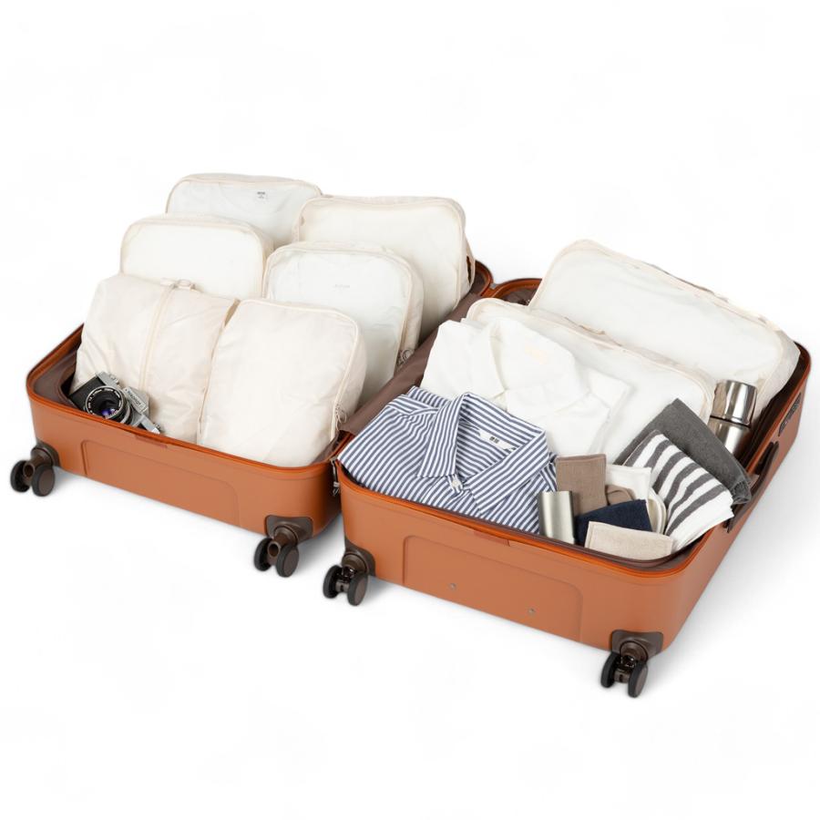 Ace（エース） 【ノベルティ特典】 フレットボード スーツケース