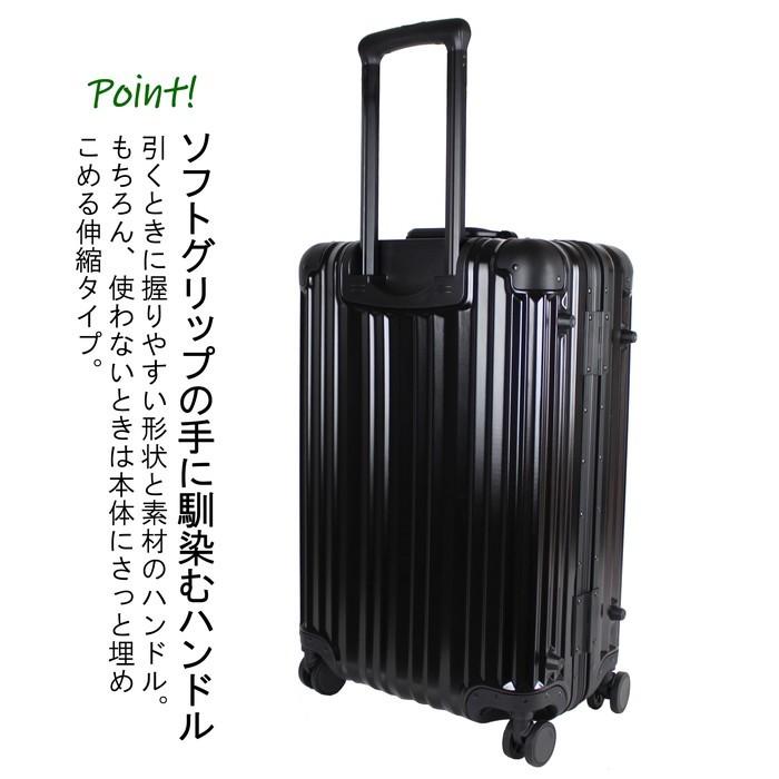 リカルド エルロン ボールト スーツケース 58L TSAロック 5〜6泊 RICARDO Aileron Vault 24-inch Suitcase AIV-24-4VP｜bag-net｜09