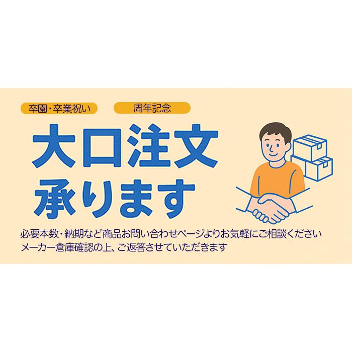 ロット LOTTO スクエアリュック 41L B4対応 大容量 撥水 多収納 通学 通勤 中学生 高校生 メンズ レディース ペンケース付き FABBIAN 72131 デイパックの画像
